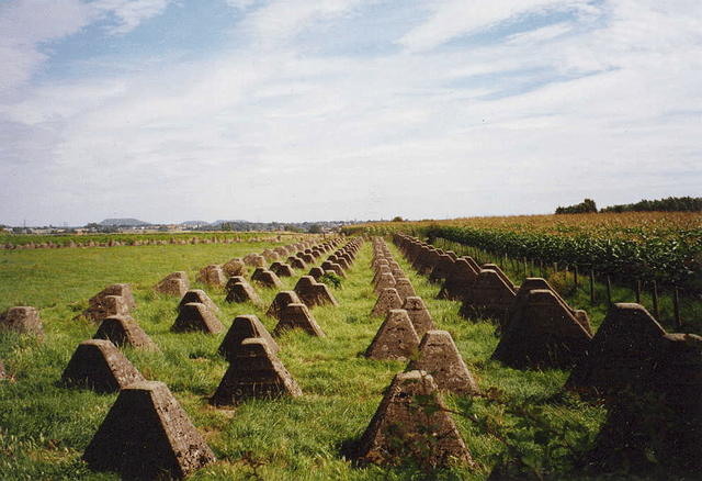 Dragon's teeth (fortification)