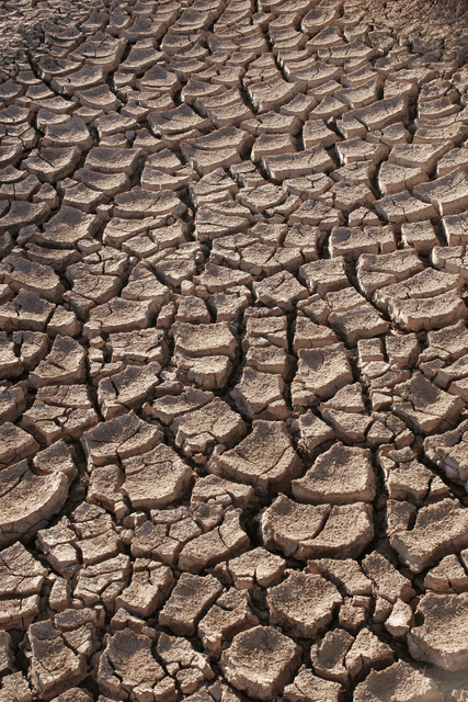 Drought