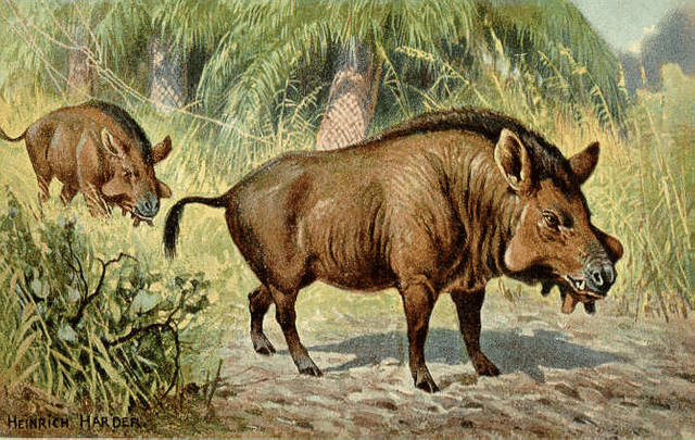 Even-toed ungulate