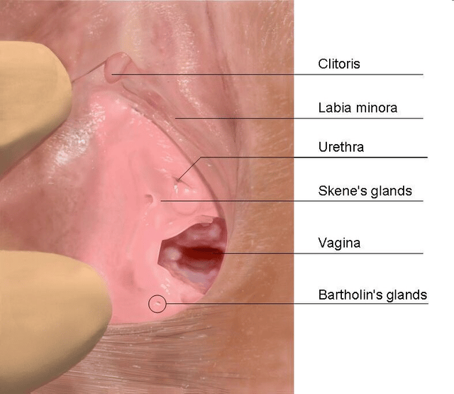 Female ejaculation