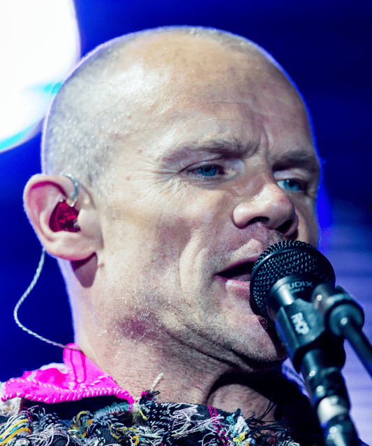 Flea (musician)