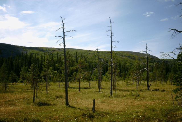 Fulufjället National Park