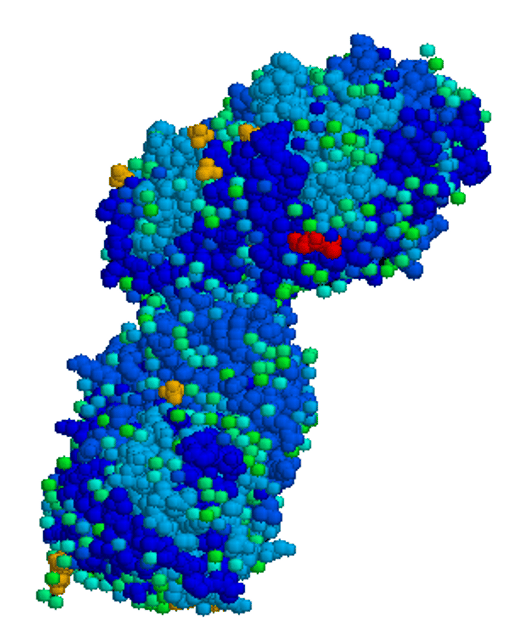 Gaucher's disease