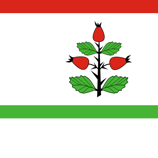 Gmina Rzgów, Greater Poland Voivodeship