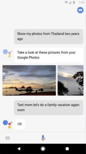 Google Assistant