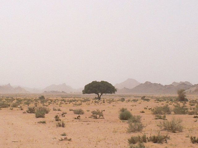 Ha'il Region