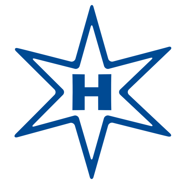 Henschel & Son