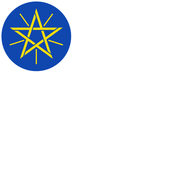 House of Peoples' Representatives