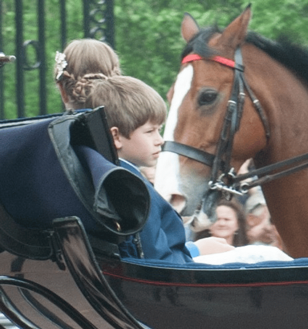 James, Viscount Severn
