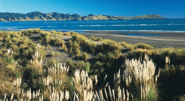 Kāwhia Harbour