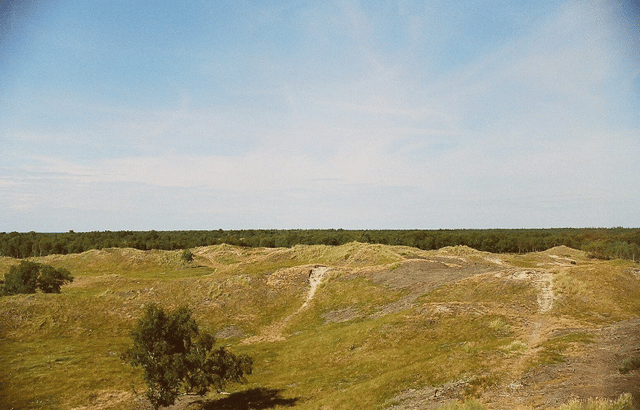 Læsø