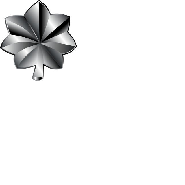 Lieutenant colonel (United States)