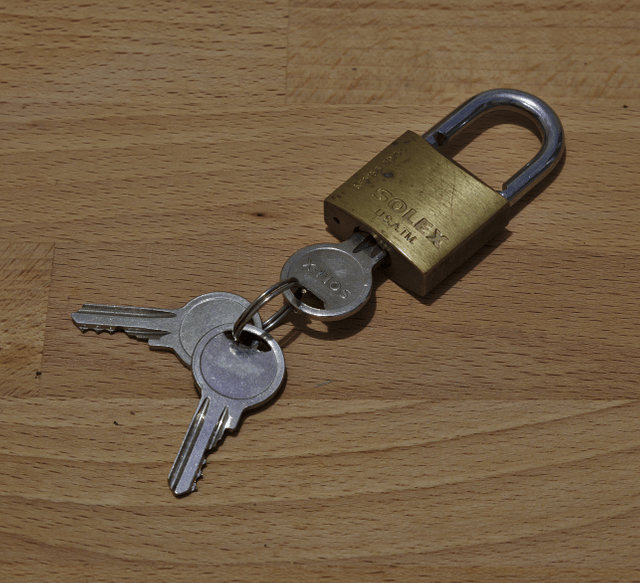 Lock (security device)