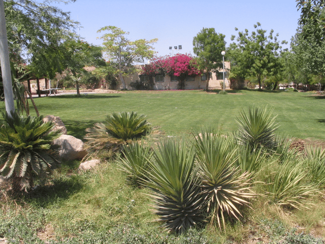 Lotan, Israel