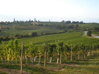 Međimurje County