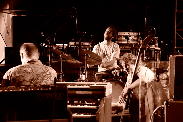 Medeski Martin & Wood