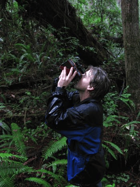 Michael Taylor (forester)
