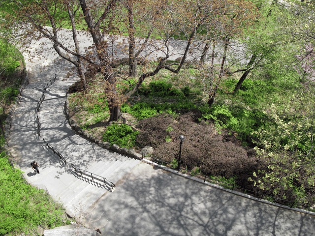 Morningside Park (New York City)