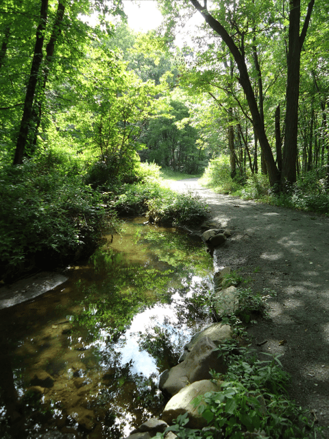 Morris County, New Jersey