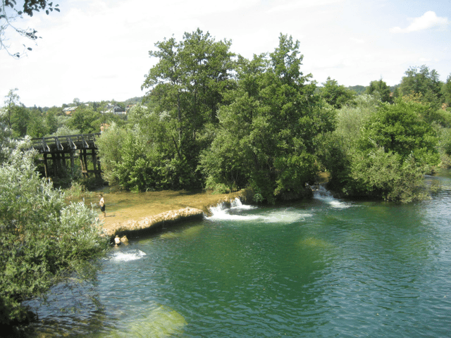 Mrežnica