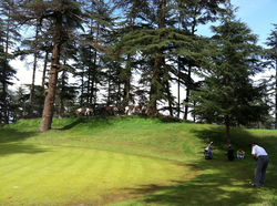 Naldehra Golf Club