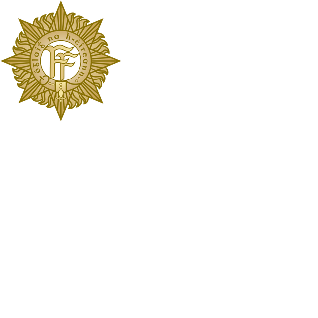 National Army (Ireland)
