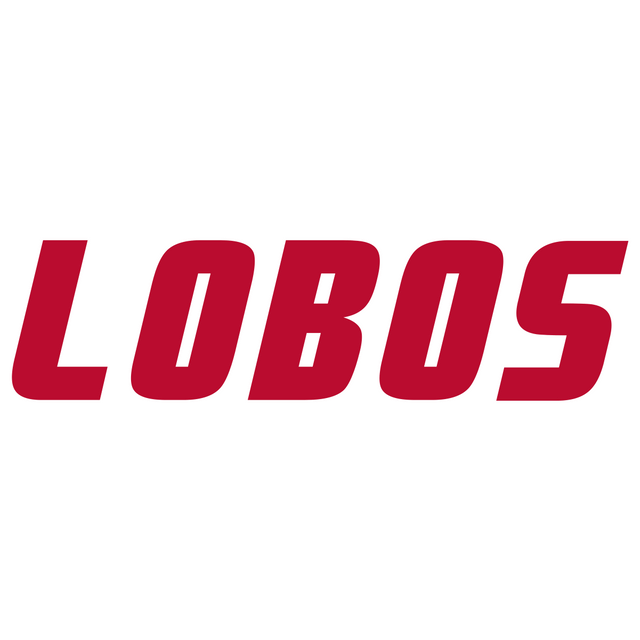 New Mexico Lobos men's basketball