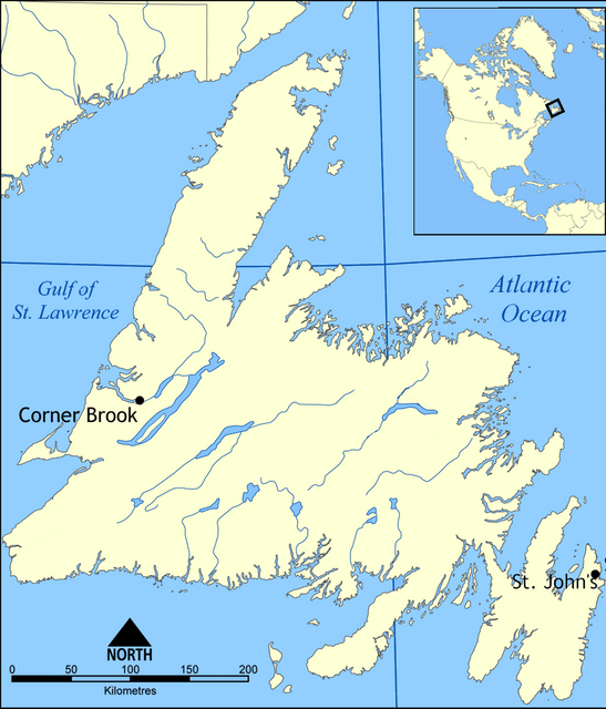 Newfoundland (island)