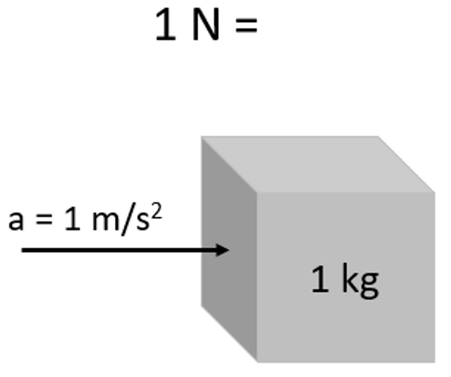 Newton (unit)
