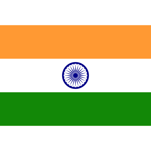 Non-resident Indian and person of Indian origin