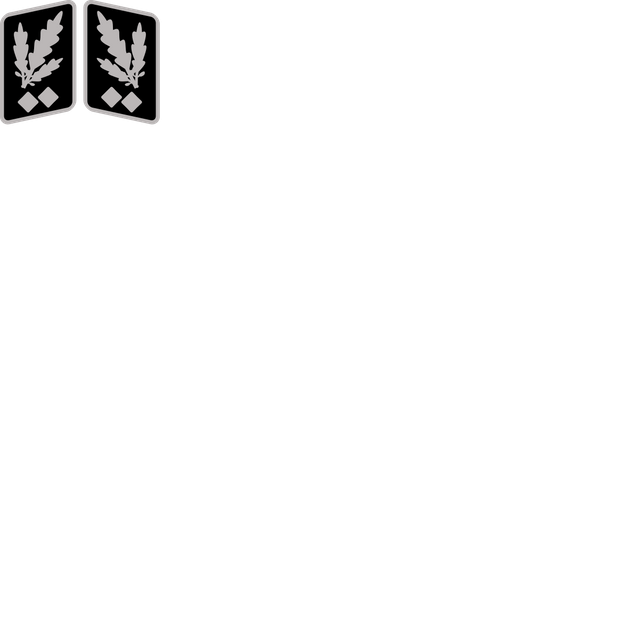 Obergruppenführer