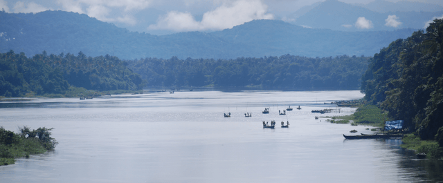 Periyar (river)