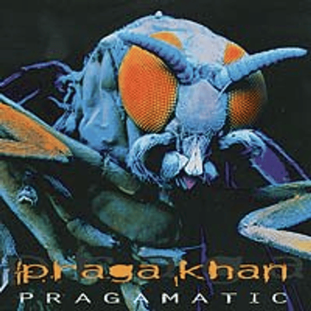 Pragamatic