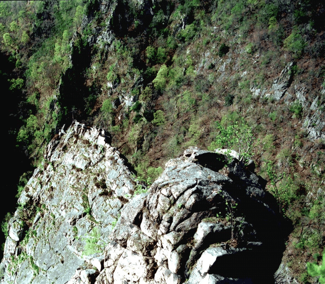 Roßtrappe