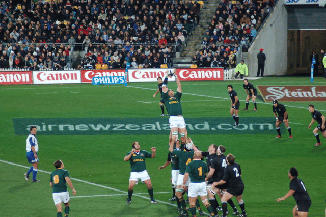 Rugby union
