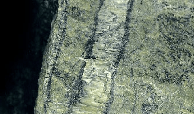 Serpentinite