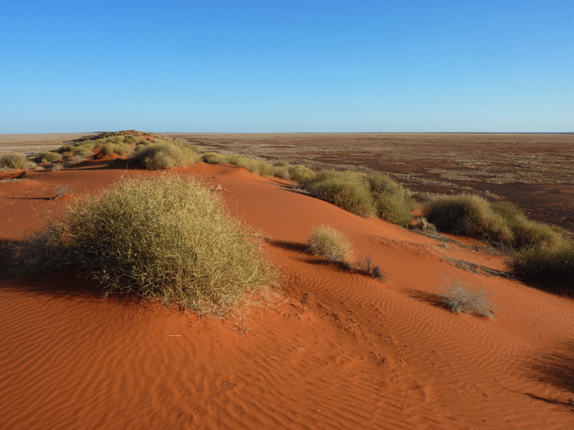 Simpson Desert