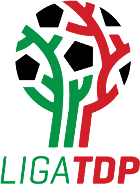 Tercera División de México