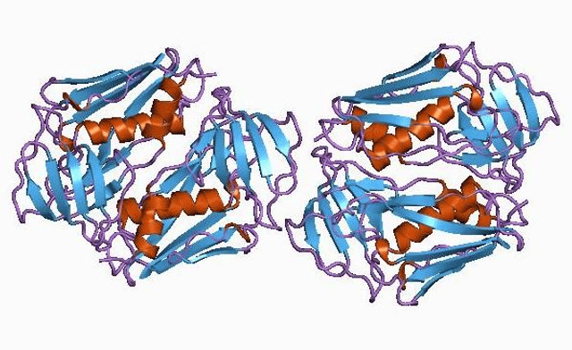 Toxic shock syndrome