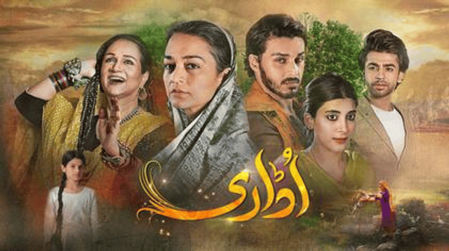 Udaari