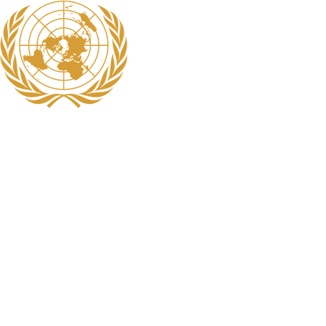 United Nations General Assembly