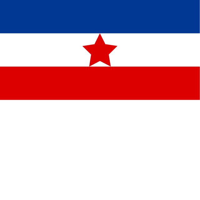 Yugoslav Partisans