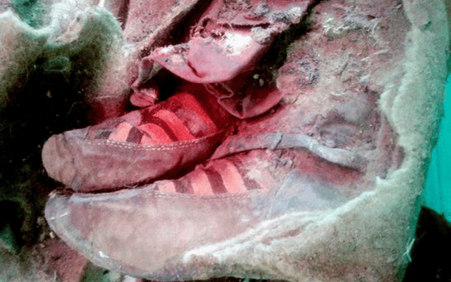 Adidas Mummy