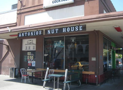 Antonio's Nut House