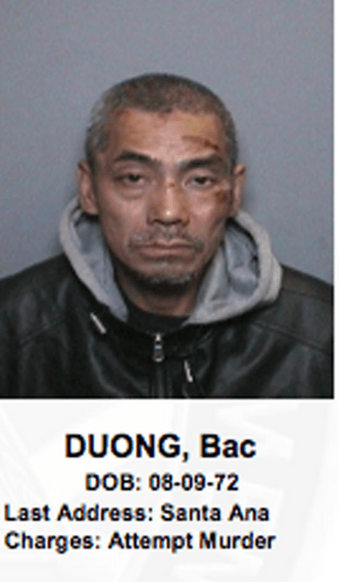 Bac Duong