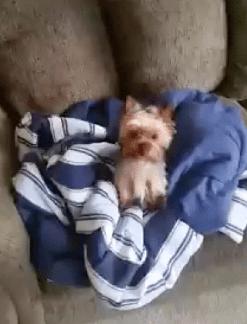 Bitty Boo