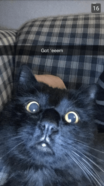 Bojangles