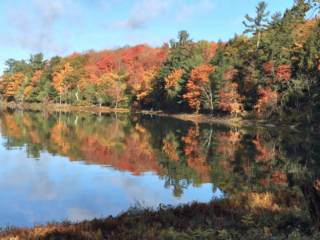 Bright Lake (Ontario, Canada)