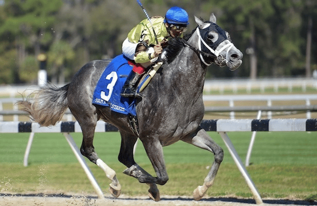 Destin (horse)