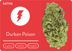 Durban Poison